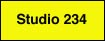 Studio 234